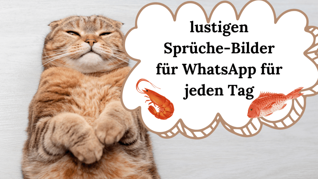 lustigen Sprüche Bilder für WhatsApp