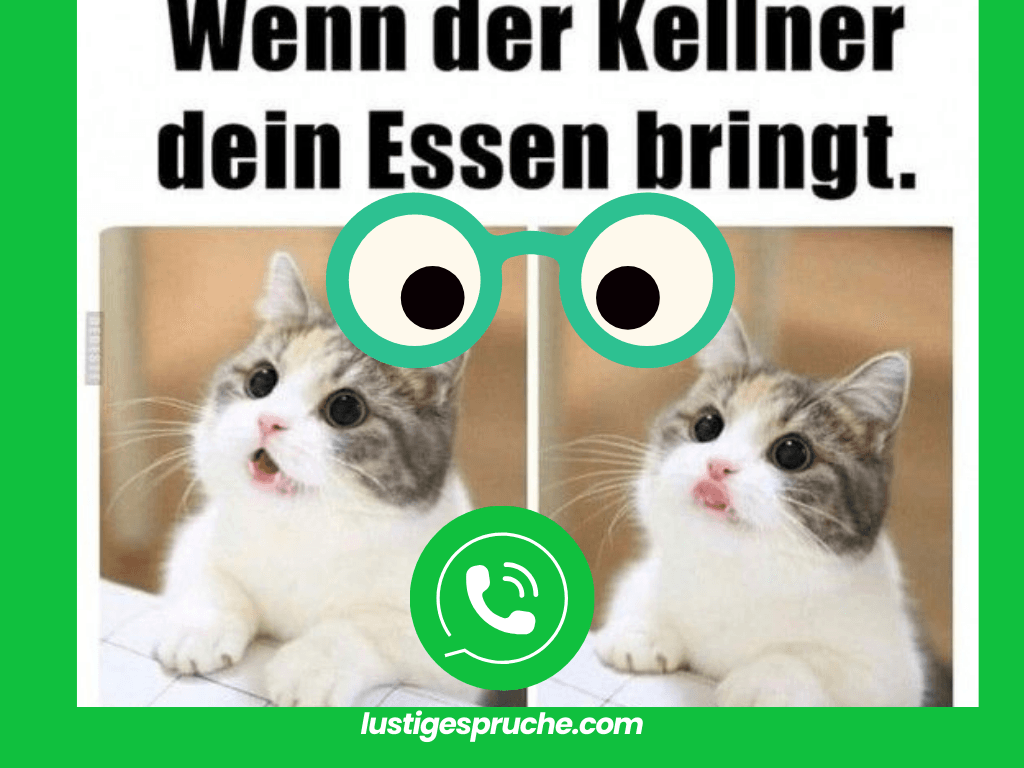Totlachen Lustige Katzenspruche