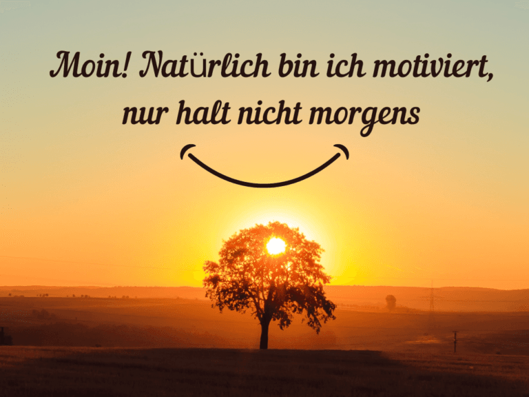 100 lustige Sprüche Mit Bilder lustige sprüche