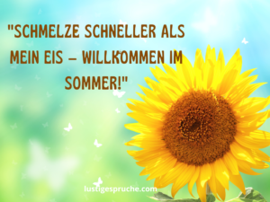 15 lustige sommer sprüche kurz