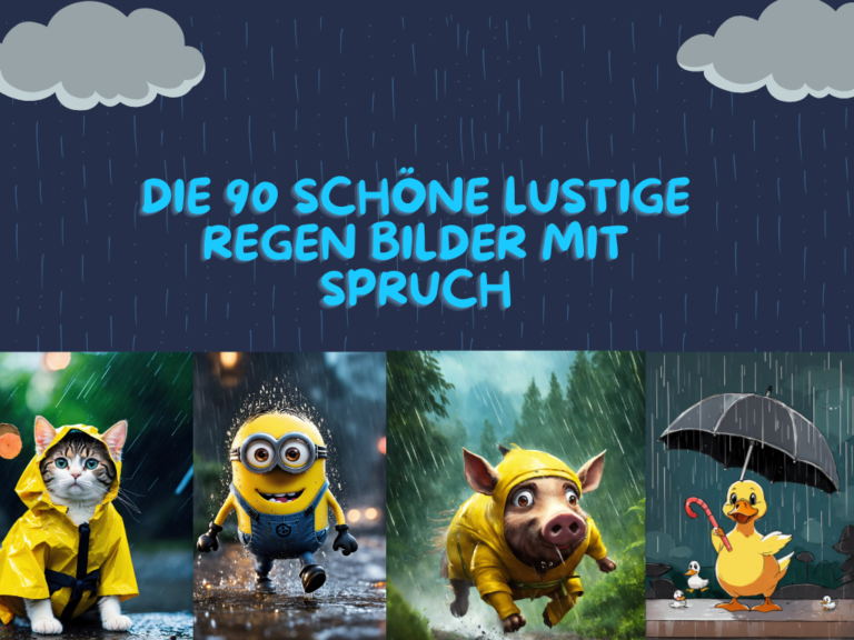 lustige regen bilder mit spruch