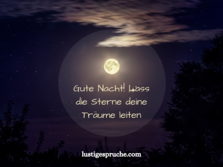 Versuse Dir Die Nacht Die Schonsten Gute Nacht Spruche Sus Fur Suse Traumefeed