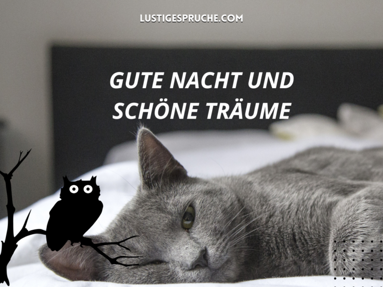 ️ Romantische Gute Nacht Sprüche Die 180 schönsten Sprüche