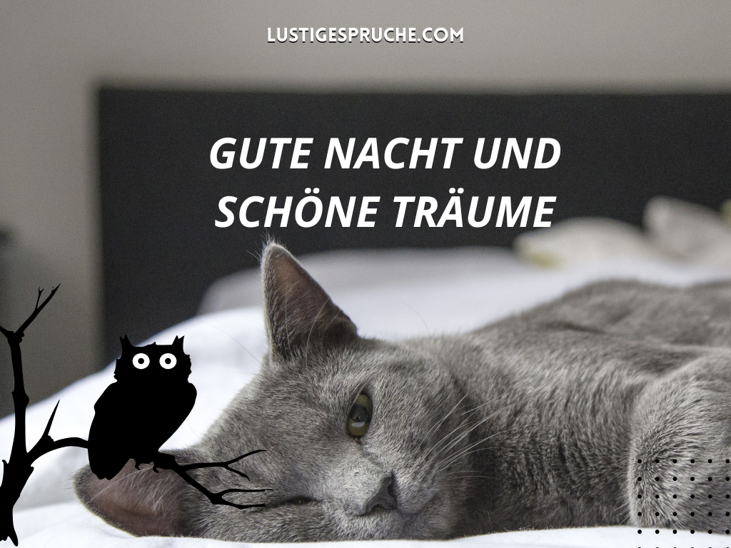 Gute Nacht Sprüche