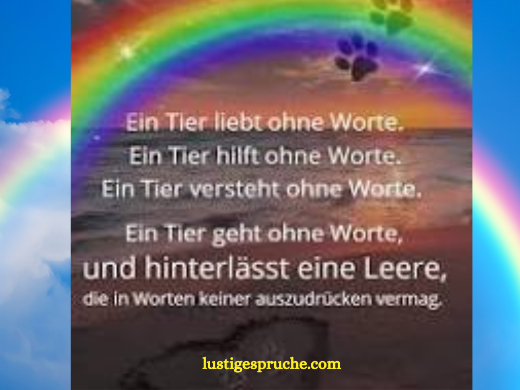 regenboge