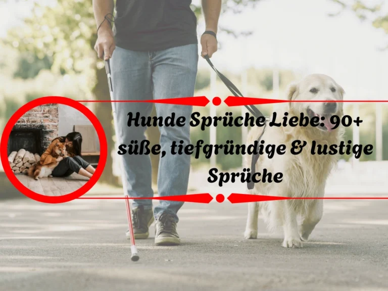 Hunde Sprüche Liebe