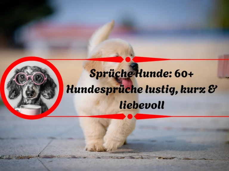 Sprüche Hunde